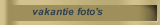 vakantie foto's