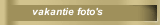 vakantie foto's